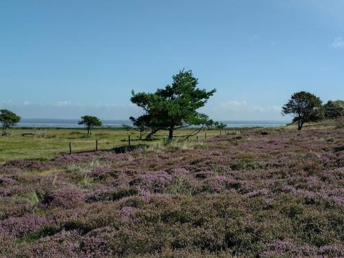 Φυσικό τοπίο κοντά σε αυτή η παραθεριστική κατοικία