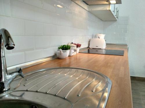 a kitchen with a sink and a counter with potted plants at GreenTree House in Corralejo