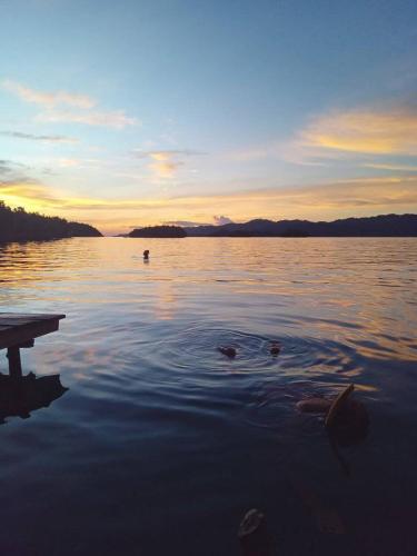 un grupo de patos nadando en un lago al atardecer en Shandy Sea, en Besir