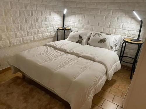 Una cama o camas en una habitación de Appartement confortable à Aigues-Mortes – 30 m²