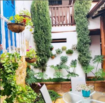 Zahrada ubytování Casa Lucia- Barichara