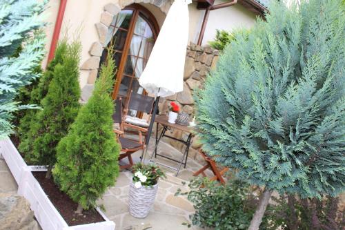a patio with a bunch of trees and plants at Feniks Agro&Spa Adults Only in Świnoujście