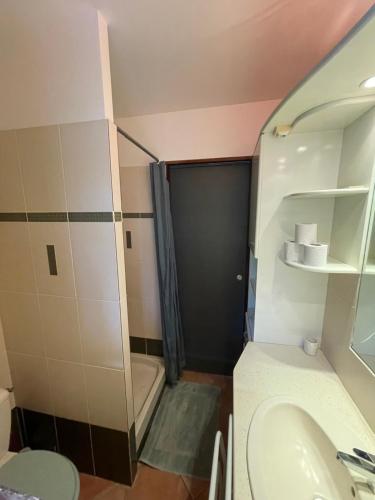 a small bathroom with a shower and a sink at Les Sucriers in Les Anses-dʼArlets