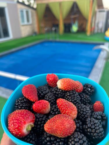 Het zwembad bij of vlak bij Halal Holidey Kuća za odmor