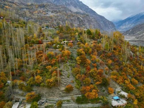 Manasau Resort hunza في هنزه: اطلالة جوية على غابة مع خرير