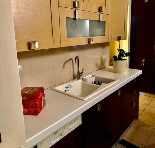 a kitchen with a white sink and wooden cabinets at Sissy sweet Home in Elátia