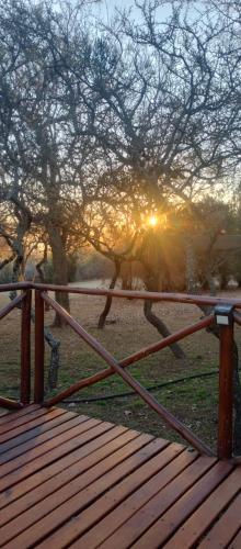 a wooden bench in a field with a tree at Zelenaiplava dormis in Merlo
