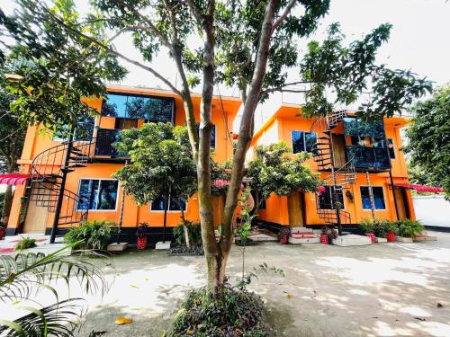 an orange building with a tree in front of it at Green Zone Cottage 