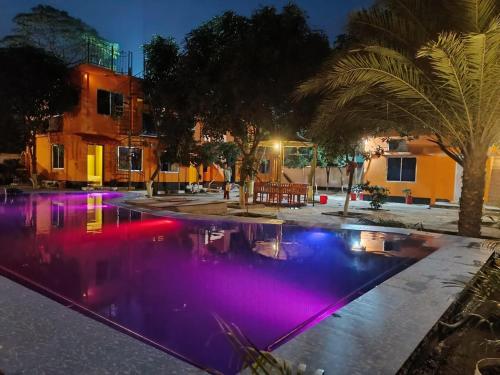 a swimming pool at night with purple lights at Green Zone Cottage 
