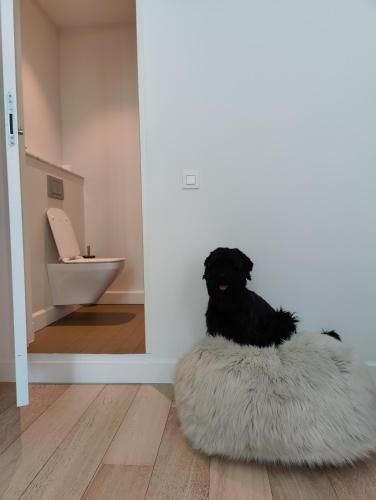 ブルージュにあるB&B レザンヴィテの毛皮の枕の上に座っている黒い犬