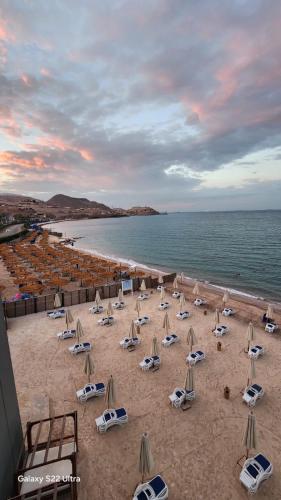 Naturlandskabet i nærheden af lejligheden