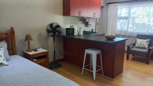 een kamer met een keuken met een aanrecht bij 'The Cape Robin' studio apartment in Hoheizen