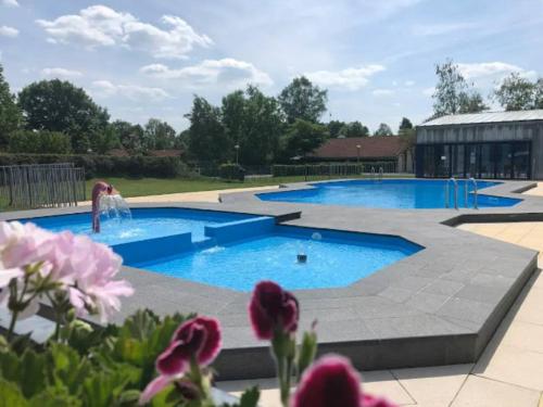 Πισίνα στο ή κοντά στο Rustig huis op park in Overijssel