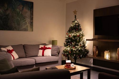 un soggiorno con un albero di Natale e un divano di Lipno Stories a Lipno nad Vltavou