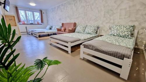 a living room with two beds and a couch at Orientarium Atlas Arena Family House in Łódź