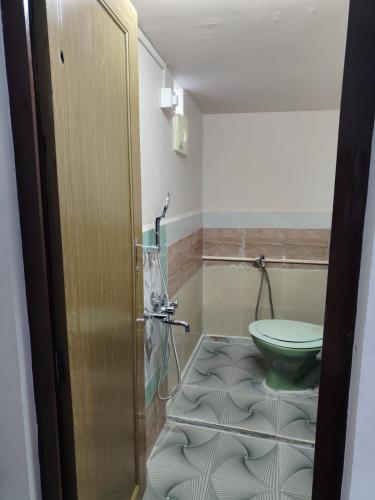 a bathroom with a green toilet in a room at Immaculate Homestay in Mawphlang