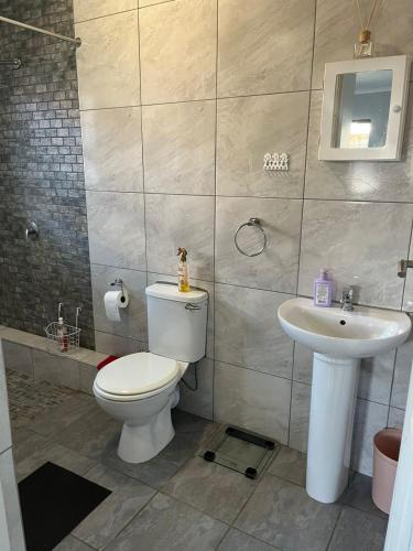 a bathroom with a toilet and a sink at Lathitha Self-Catering in Springfield