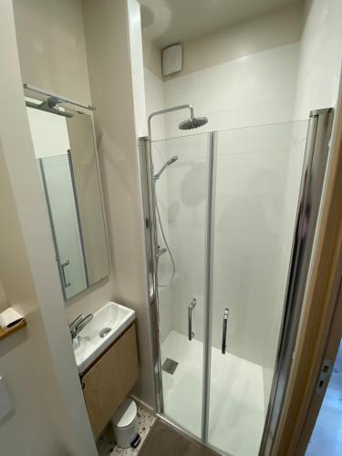 a bathroom with a shower and a sink at Le Cocon d'Oberthur - Proche Thabor in Rennes