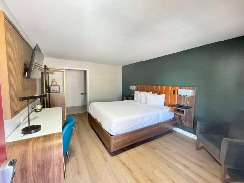 una habitación de hotel con una cama y un sofá en SureStay by Best Western Morgan Hill, en Morgan Hill