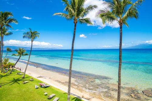 una playa con palmeras y el océano en Paki Maui 302A, en Honokowai