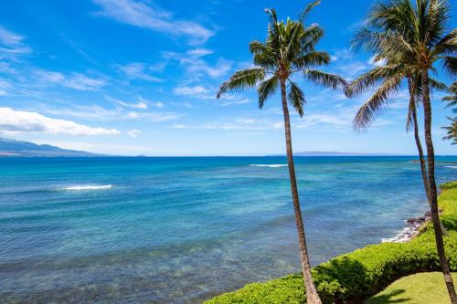 a view of the ocean from a beach with palm trees at Island Sands 311 in Wailuku