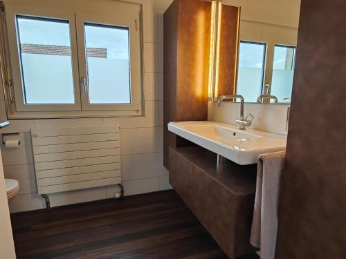 a bathroom with a sink and a mirror at Goldiger Berg - Pilatusweg 6 in Affoltern