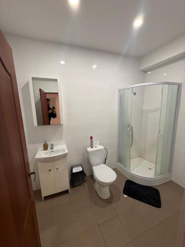 a bathroom with a shower and a toilet and a sink at Bernotiškių Hotel & Dining 