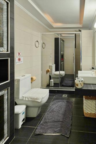 a bathroom with a toilet and a sink at Villa Thalassa next to the beach in Stavromenos
