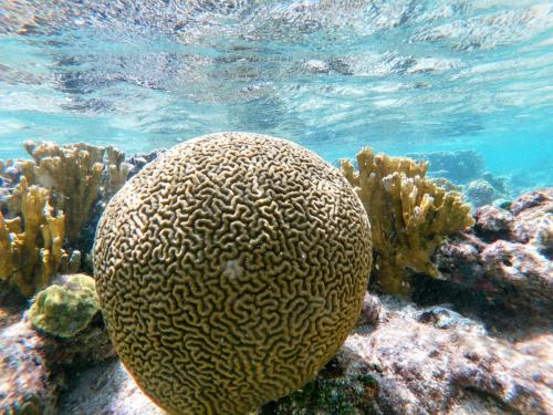 Příroda nedaleko ubytování na lodi