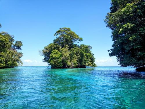 Příroda nedaleko ubytování na lodi