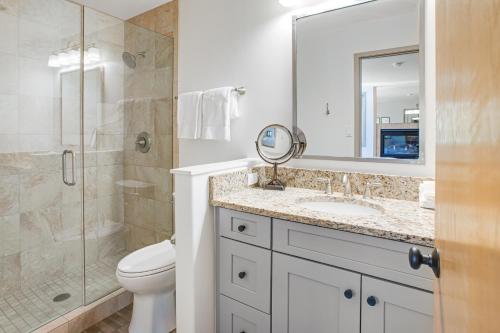 a bathroom with a toilet and a sink and a mirror at Tamarak 36 in Snowmass Village