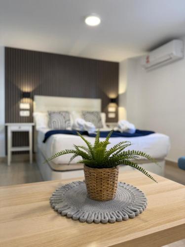 Larios Premium Apartments