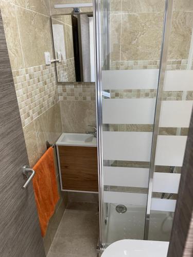 a bathroom with a shower and a sink at Piso trabajo Rocafort 2 in Madrid