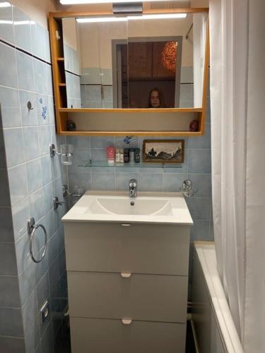 a bathroom with a sink and a mirror at Studio cosy et sa terrasse in Beuil