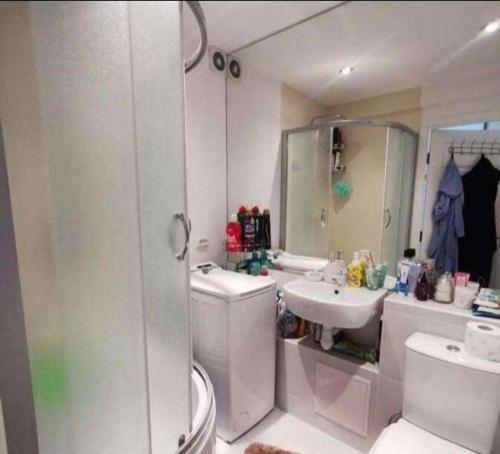 Butas Putinuose في أليتس: حمام مع مرحاض ومغسلة