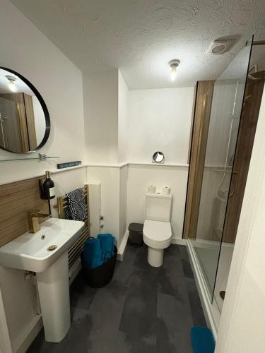 a bathroom with a toilet and a sink and a shower at The Apartment in Northallerton