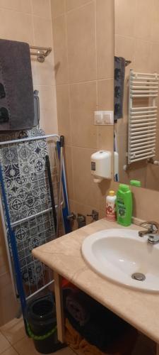 a bathroom with a sink and a towel rack at Relax Wellness Apartman in Pusztavacs