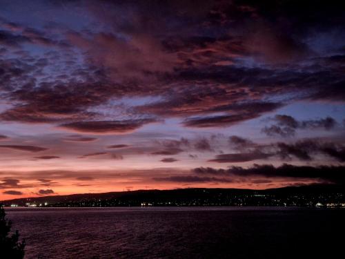 Naturlandskabet i nærheden af lejligheden
