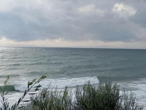 Naturlandskabet i nærheden af feriehuset