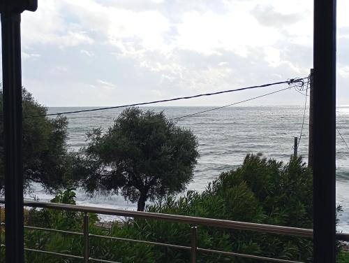 Naturlandskabet i nærheden af feriehuset