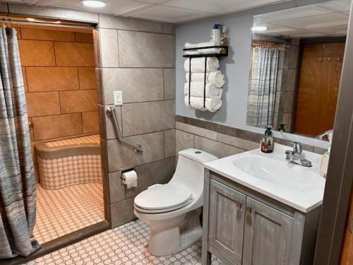 a bathroom with a toilet and a sink and a shower at Pet Friendly 2BR • King+Queen • Full Kitchen in Adamstown