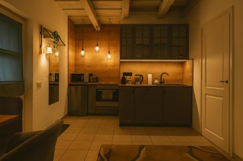 Una cocina o kitchenette en Őri Art Inn