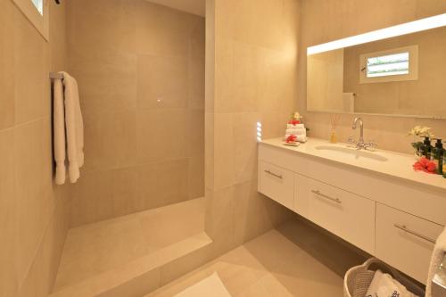 Les Ilets De La Plage في غوستافي: حمام مزود بحوض ومِرآة