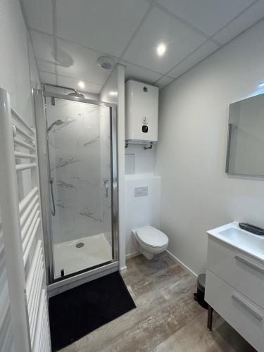 Koupelna v ubytování Petit cocon à 5 min du marché de Noël