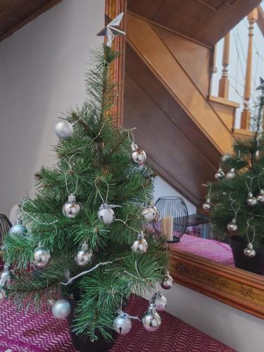 een groene kerstboom die op een tafel staat bij Il Carrubo in Alghero