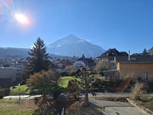een berg op de achtergrond van een stad met huizen bij Summit View Apartment in Spiez