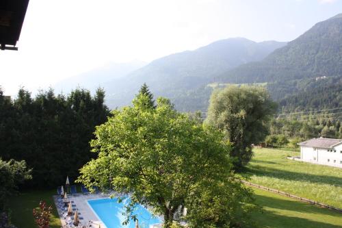 a swimming pool in a field with mountains in the background at Ferienwohnungen Forellenhof Waldner in Gundersheim