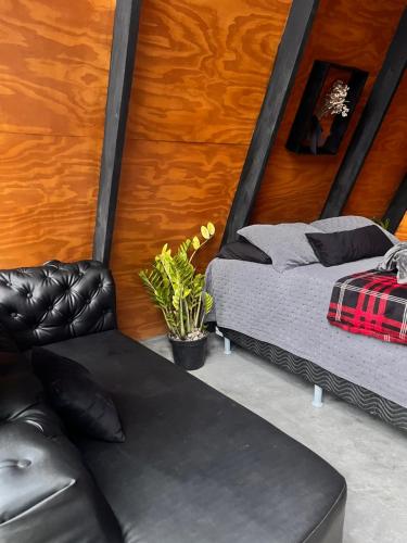 Fotografie z fotogalerie ubytování Constelacaodachapada v destinaci Ibicoara