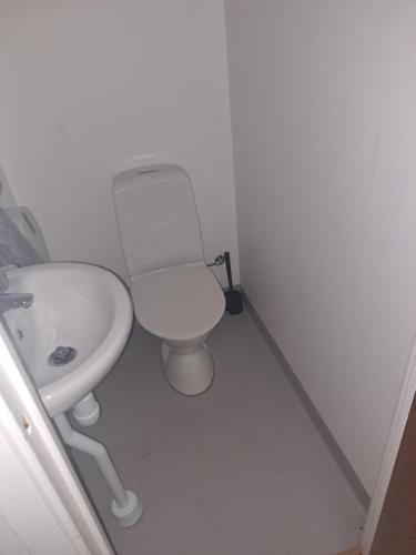 a small bathroom with a toilet and a sink at Selmas Pensionat in Vittsjö
