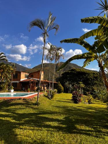 Santa Elena Ventanas Parapente Bed and Breakfast Premium في Santa Helena: منتجع مع حمام سباحة وأشجار النخيل